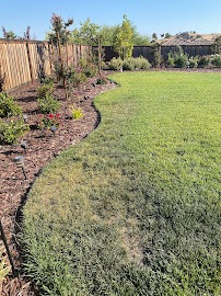 Lawn edge with a curved mulch bed