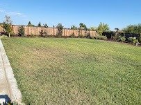 Large finished lawn