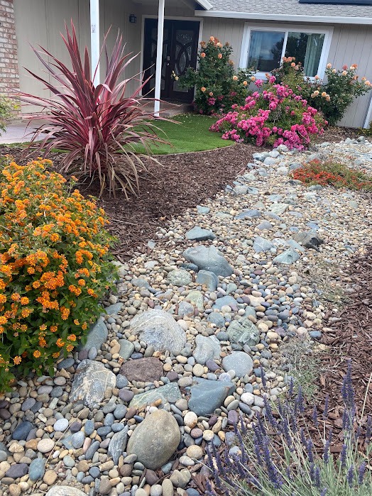 Dry creek landscape bed with flowers