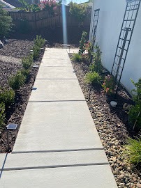 Concrete walkway with new plantings